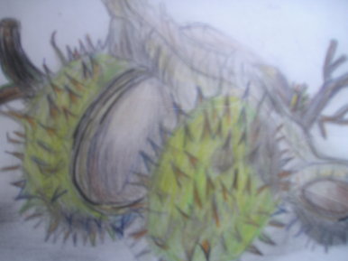 Beauty of spikes