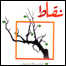 نقاط