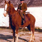Brian Dougan