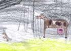 Sgwarnog a buwch mewn cae