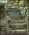 Garden Path