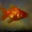 Fishy