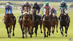 horse racing