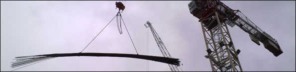 cranes-slice.jpg