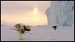 Inughuit people of Greenland 