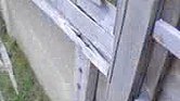 Behind the fence...