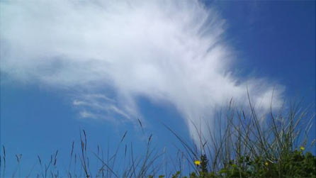 sky.jpg