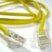 Computer leads
