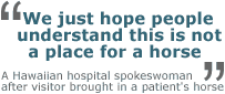 horsehospital.gif