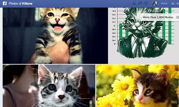 Gatos