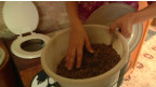 Privada da Soil