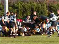 Rugby Union