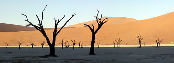 Desert