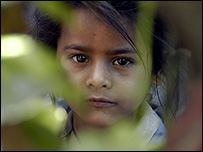 रानी पांडे