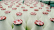 Photo of milk bottles