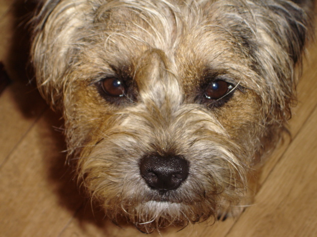 Maggie up close
