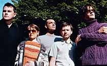 Pulp