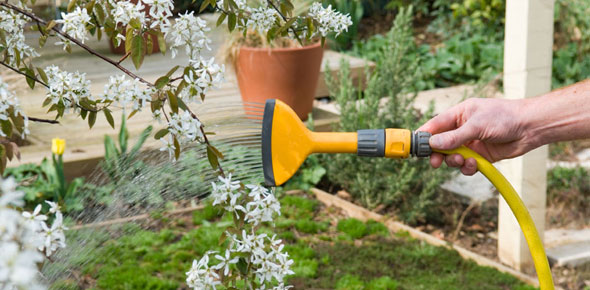 watering hose