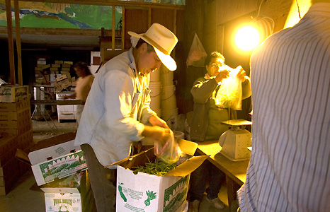 Two men in workship with light blaring into shadows. Photograph by Alix Lowrey Blair.