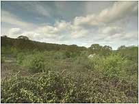 Northward Hill
