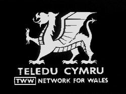 telcym.jpg