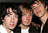 plain_white_ts_100.jpg