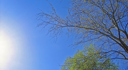 Sunny day in park