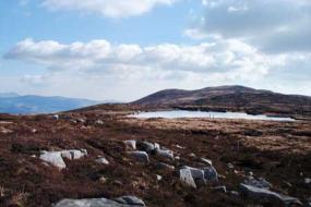 gullion.jpg