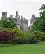 Fel castell tylwyth teg yn y coed