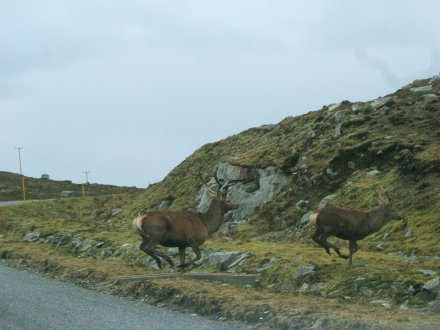 traffic jam