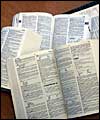 Dictionary