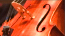 The Orchestra