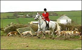 Hunstman and hounds