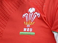 Y plu ar grys rygbi