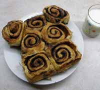 Cocoa snails
