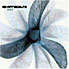 Seed