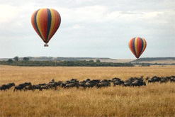 ballooning_247x165.jpg