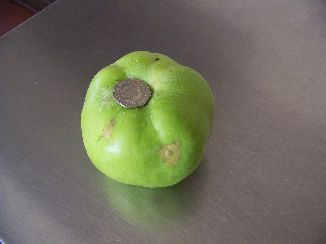 Big Apple