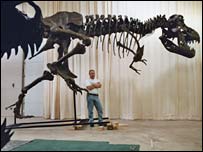 skeleton of T. rex
