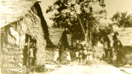Camp