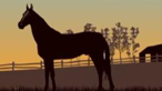 horse sanctuary