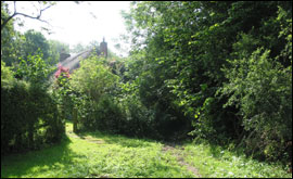 House in woods
