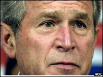 bush.jpg