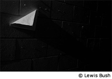 Photo by Lewis Bush