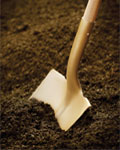 spade