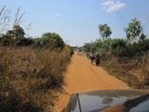 malawivan.jpg