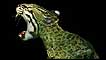 Mistura de jaguatirica com lagarto
