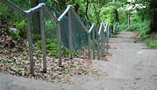 the Golden Steps 