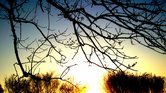 Sunlight silhouette...