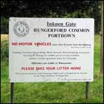 Cattle grid